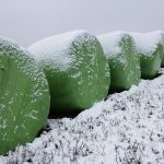 22-63 « Meules de foin sous la neige »