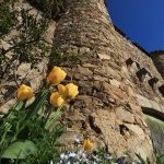 4-11 « Printemps au château »