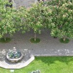 21-60 « Fontaine et arbres fleuris »