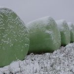 22-62 « Meules de foin sous la neige »