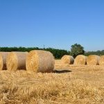 21-58 « Moisson »