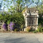 14-40 « Puits fleuri »