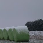 22-61 « Meules de foin sous la neige »